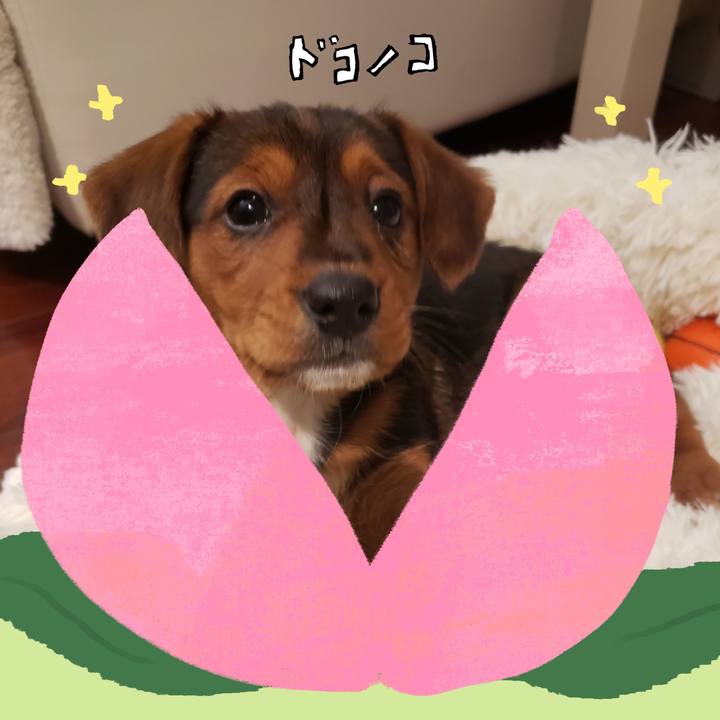 6149cac2 b06e 4633 aecf 5ff18c5cac27 1771933245861