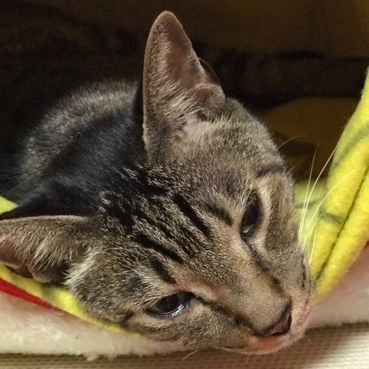 6149ec32 4945 4556 8477 f5f1b404ef4b 1507770291436