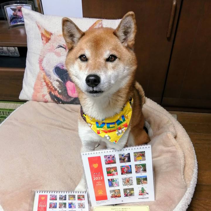 6149f49f a05d 45e2 acdd 5ab4a32122ad 1637218477206