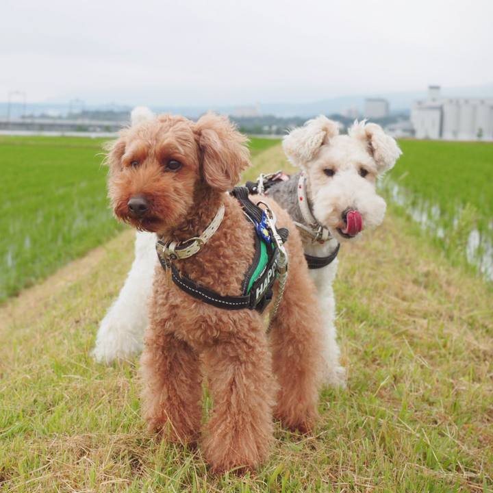 614a2305 0710 48e2 83cb b778953ba3d6 1559963319214