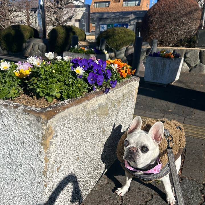 614a6fa0 6c08 4d6a 8f52 ca837f0673d7 1767412705959