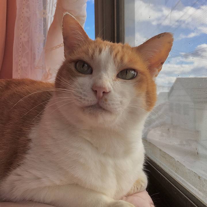 614a7160 ff38 4b63 91ce 0747df1e9a67 1605164376597