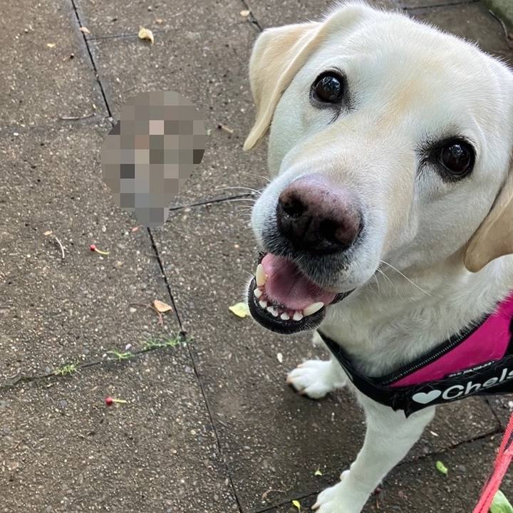 614ad95a 624a 40c0 b259 725832c99c99 1684284660863