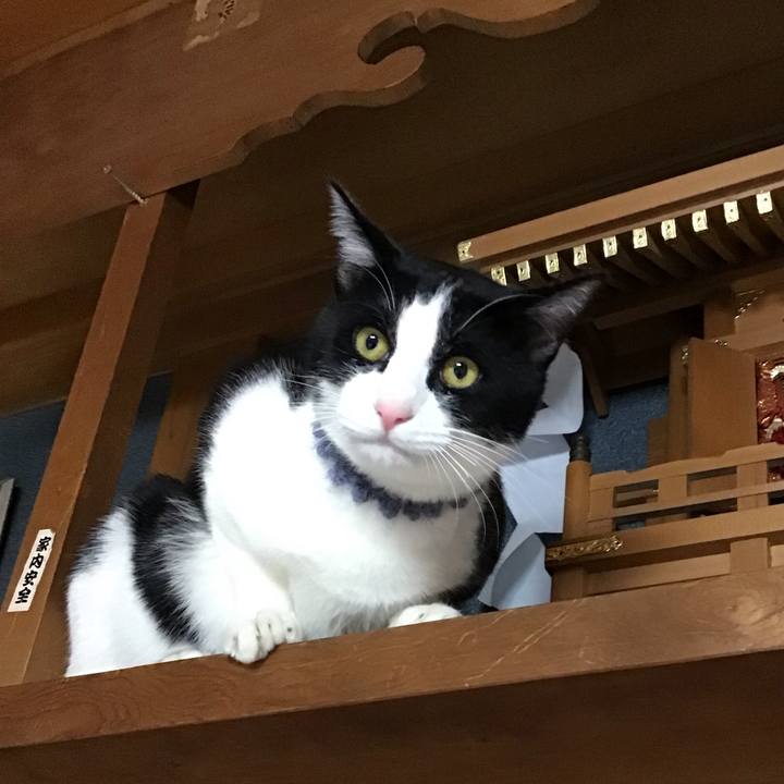 614af648 5971 43af bc6c c5d46564c76b 1643619165914