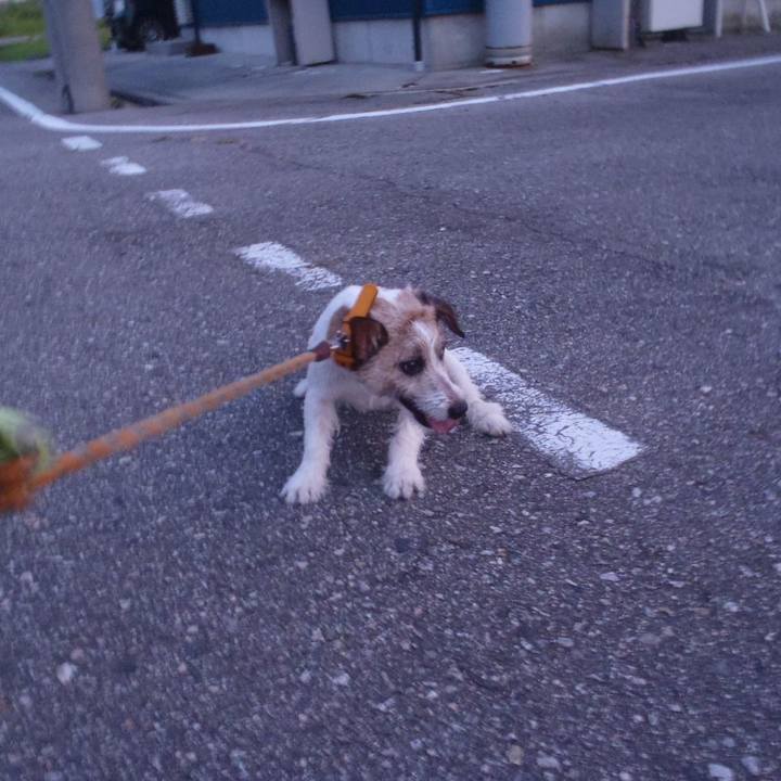 614afdba bb91 4eb8 8c70 dc36081ce3ee 1532515693478