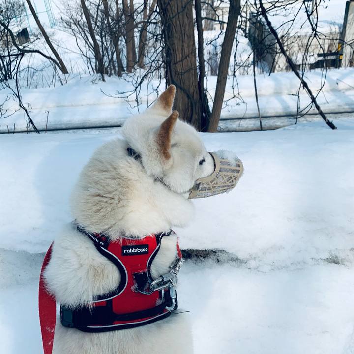 614b1abb 3315 4018 b753 2552ec89fe34 1613277516667