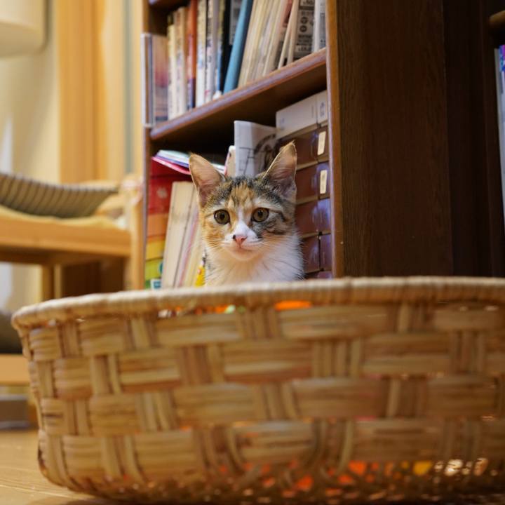 614b277b a39d 4af6 9f29 86b7e49cb9ed 1572565818361