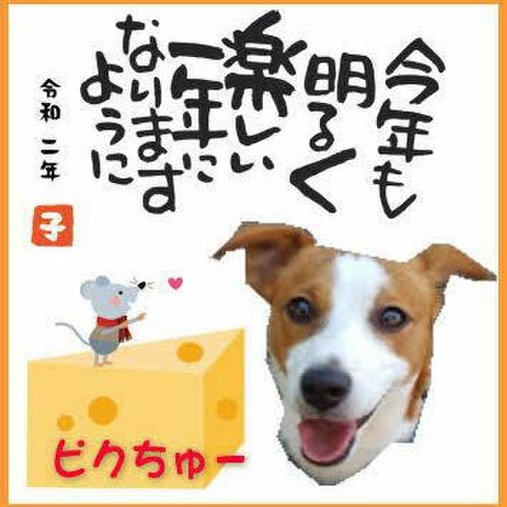 614b3548 601b 4a8e b089 98715cfae273 1577851102232