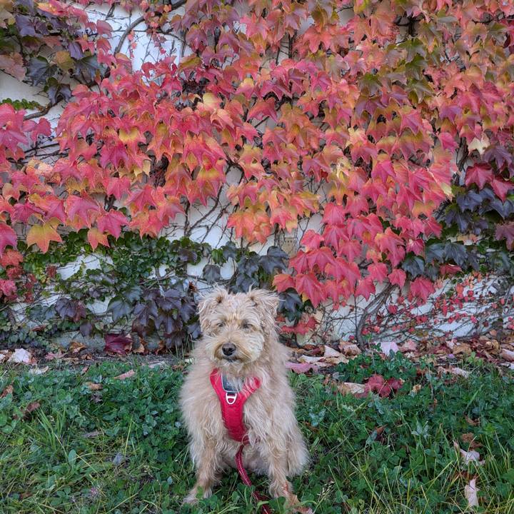 614b3b61 c9d1 429a 9bba 9121b18552f7 1728802653085