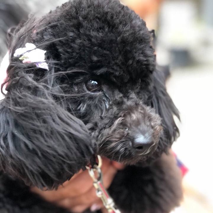 614b3cc7 68b0 445f b429 52b0f2bf3eaf 1523784421697