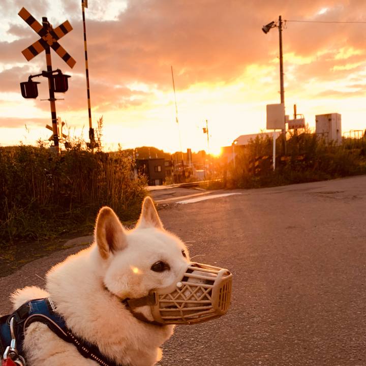 614b42fc 4c95 41c6 a287 a5270f30d21c 1631565981398