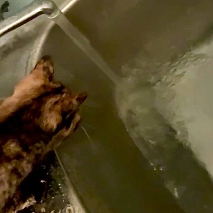 614b540d 3fe3 4a17 816c 1ecf9bdce0be 1762202795331