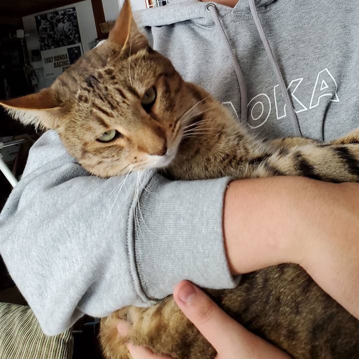 614b6b01 56b1 4e95 bc87 79f9e024c3ca 1704898710540