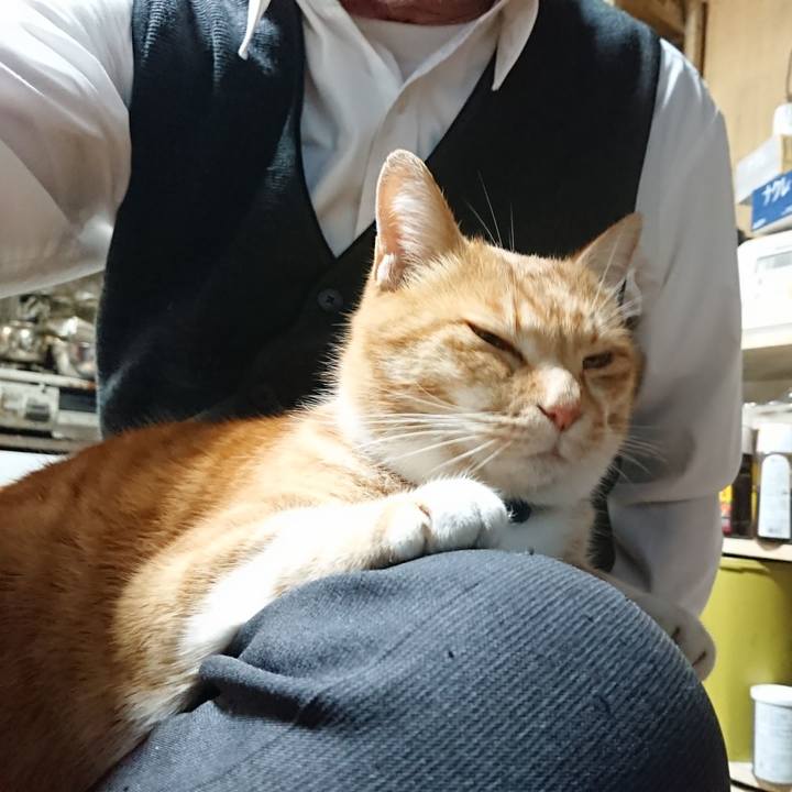 614b8285 978e 4553 a468 bffecd3e6101 1606728310362