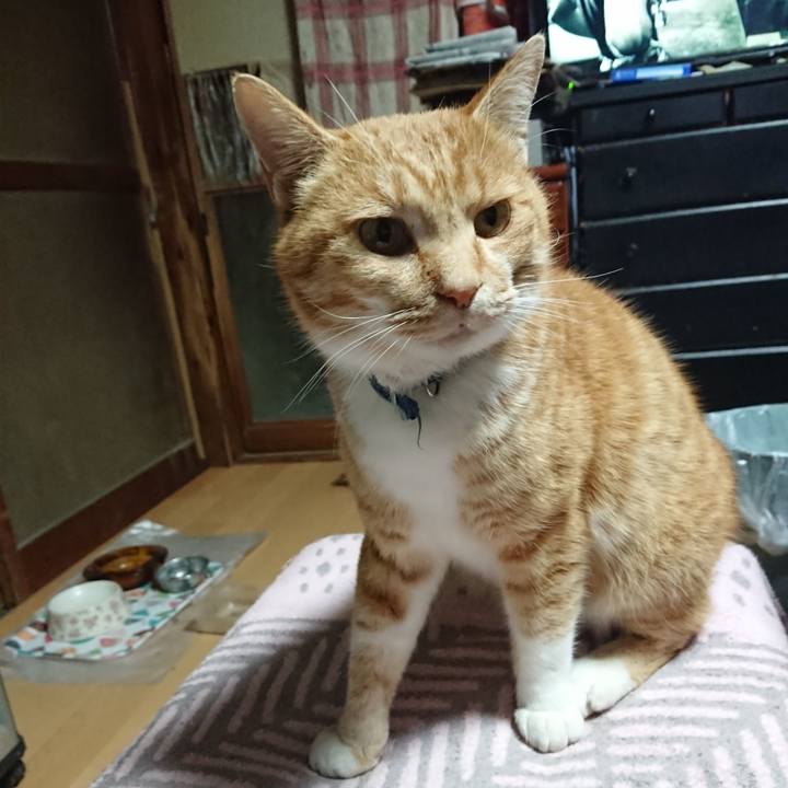 614bab76 21c0 4112 9818 7e703598b6ac 1606600476850