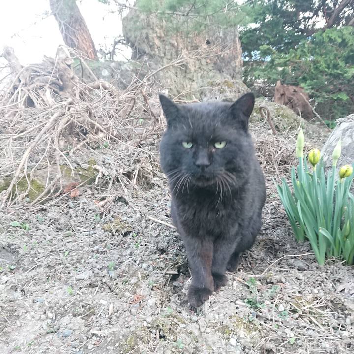 614bf450 dba8 4db6 81f6 4f09cdc9018a 1649843032609