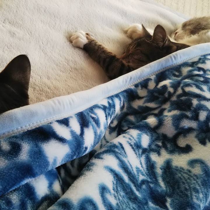 614c0793 a2bd 4e36 b8d0 aacc6cd9e9c6 1636499362425