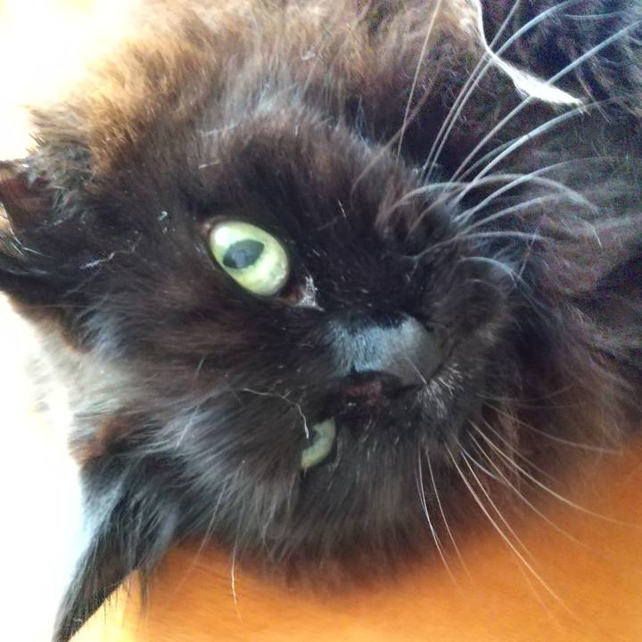 614c4136 279e 4142 a553 7eea5106ca61 1648627888257