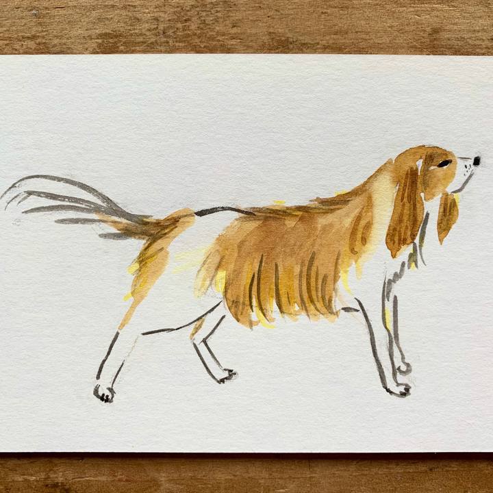 614c50a4 ca8b 4936 b58f bbd24f50d0f2 1591169793798