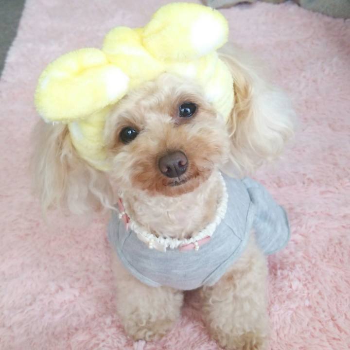 614cac8b 3db5 44a4 afee 78c0866d5f94 1520078862991