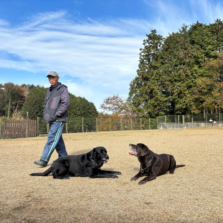 614cb4ec 7fa8 4acf 8576 afeb0d137b27 1764504074184