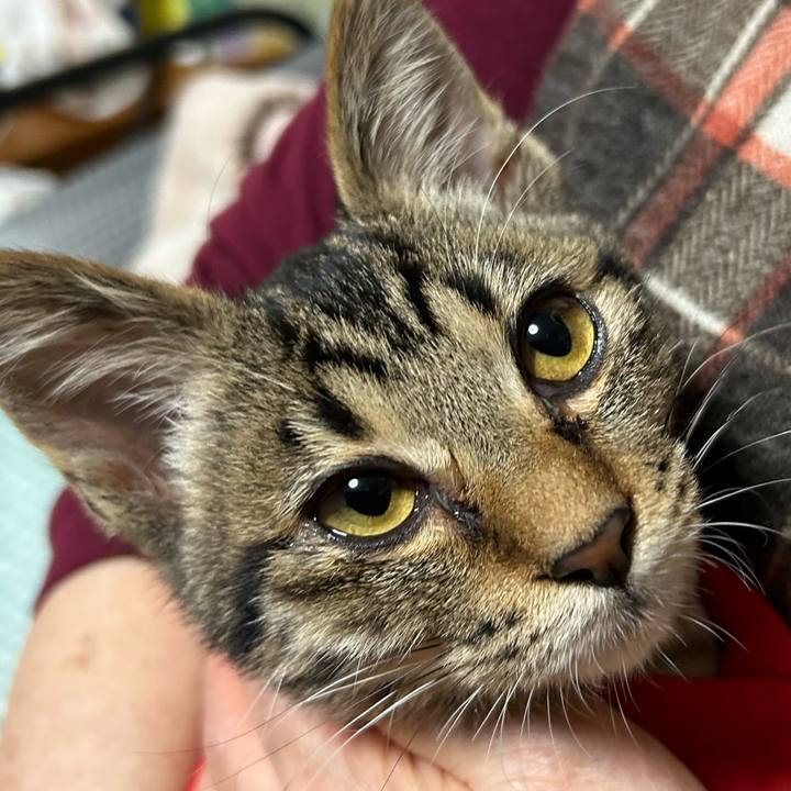 614cbd0d e7ae 412f 9e9f 5c70aff3d28f 1730281289642