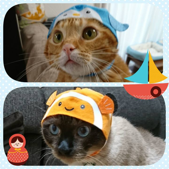 614e3fd8 0c73 419d 93f4 6f0ccbad070c 1518606531014