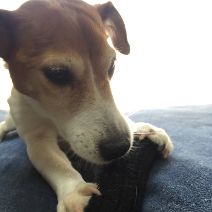 614e50f2 8b3d 4960 a258 2e02c0fe01ee 1525537945827