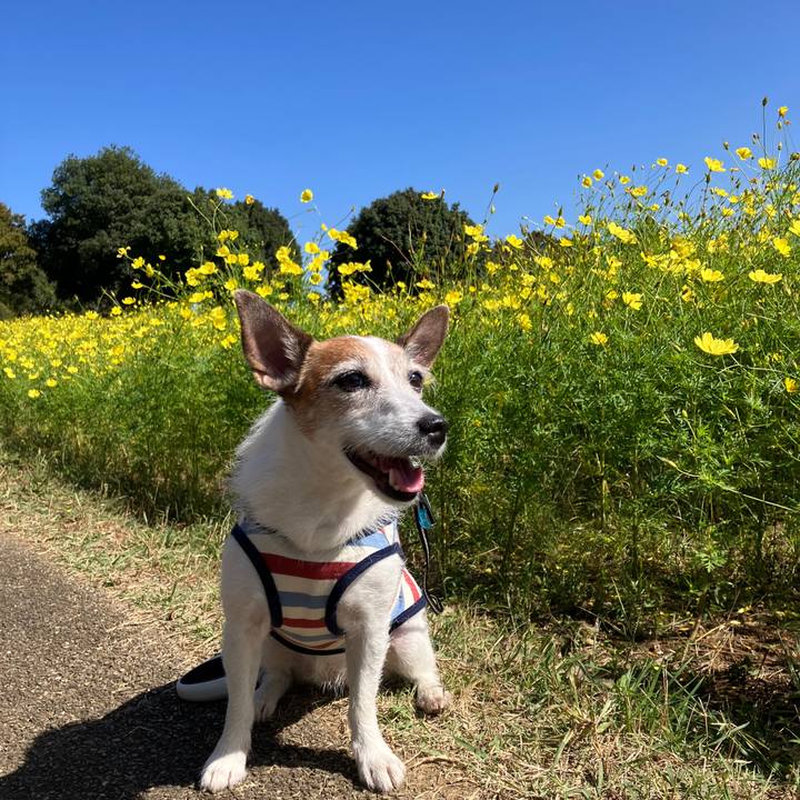 614e7a06 794e 45d2 ae21 c10011324c13 1696724770592