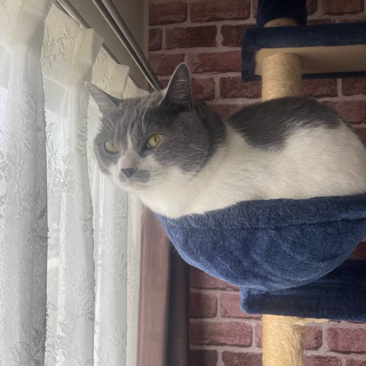 614e7b00 4002 44fe ba3e 0087cf3a8e87 1679613209160