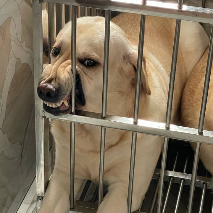 614e8d5e da62 45f7 86ff f2a7c15bb079 1749980749703