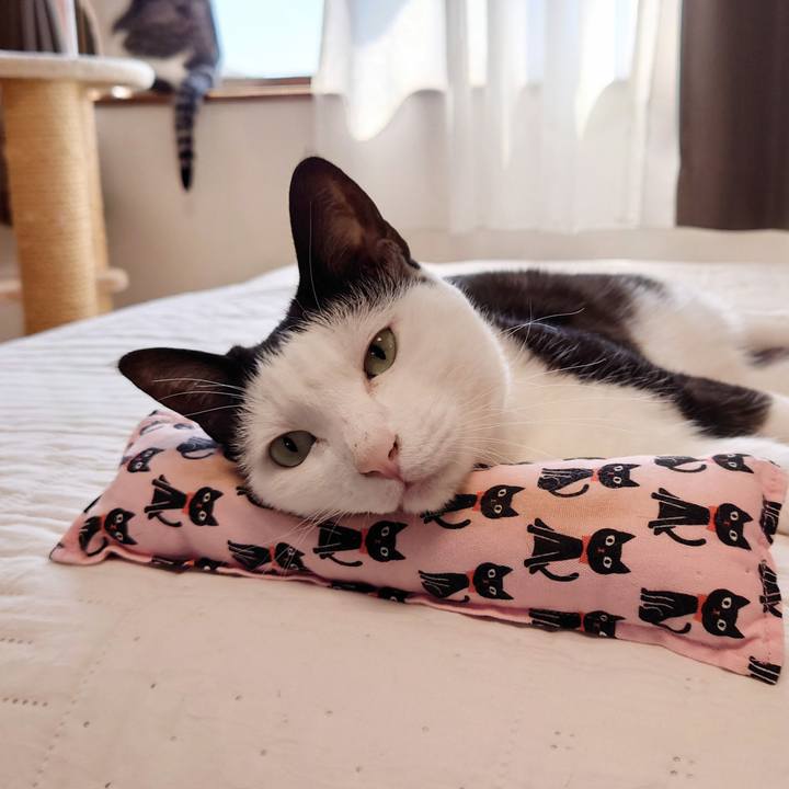 614e9adb 6456 4e8a 881d 9bf5bf86952d 1632448503540