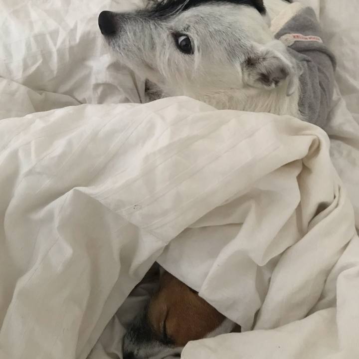 614e9b2c d726 4c0c 8758 f5ed0df9d1e9 1544570225148