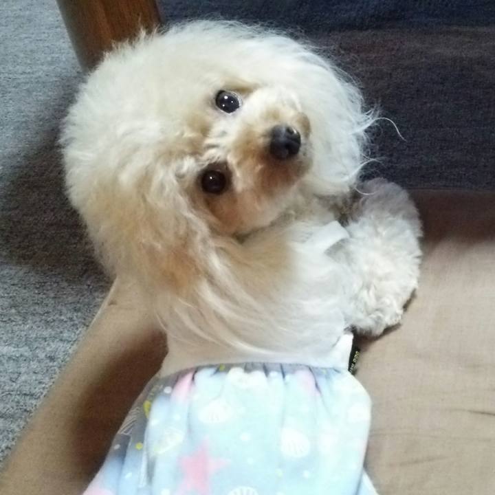 614ec7ae 9916 4007 9ca9 b2bfbd4da411 1536756735876