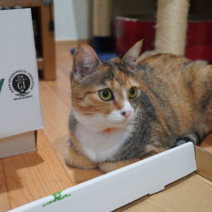 614ed23c 7587 410c be10 d8b8883ea954 1595376261082