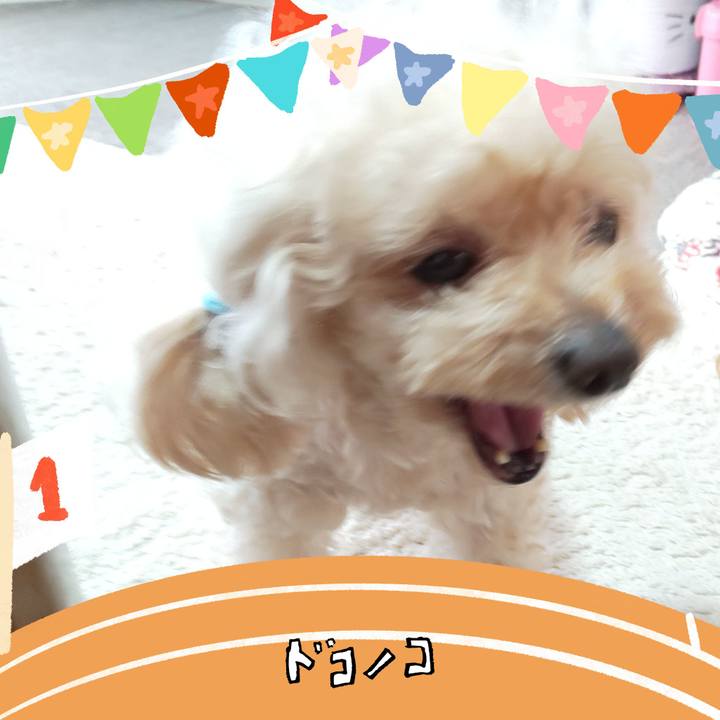 614f0833 e5c3 4814 a7fd 3c982132657d 1762603283957