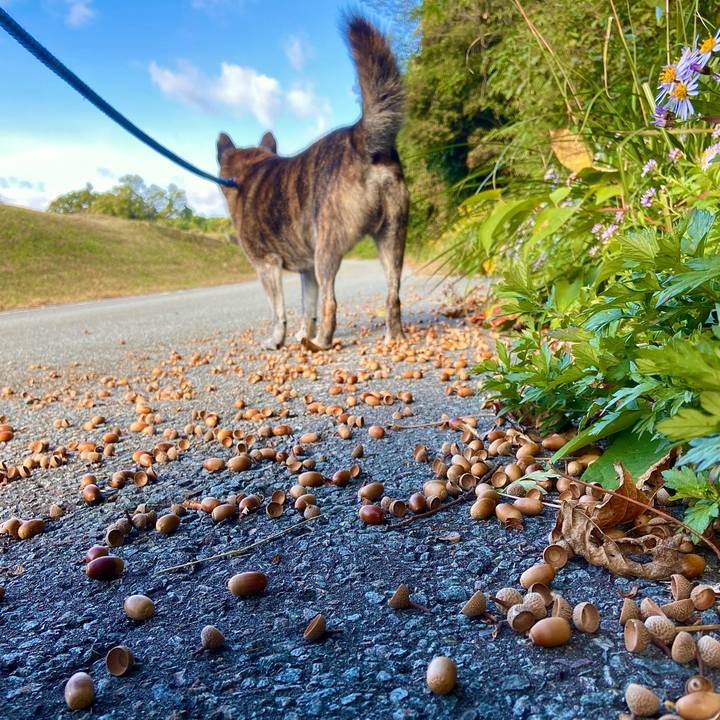 614f1044 1c3d 46f2 a16d 8f431a974e22 1666834182862