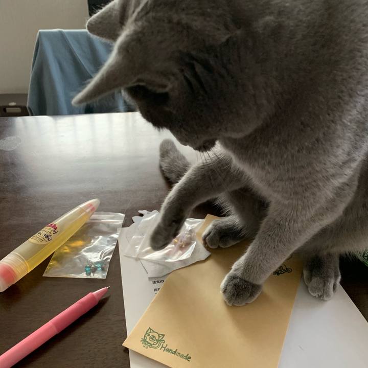 614f27a9 8288 4032 957f b5e243fd84ce 1586215282696