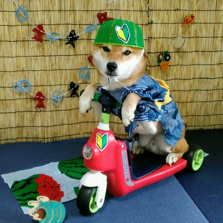 614f3b51 0b1e 4b8d b561 602e585cecbc 1565922385178