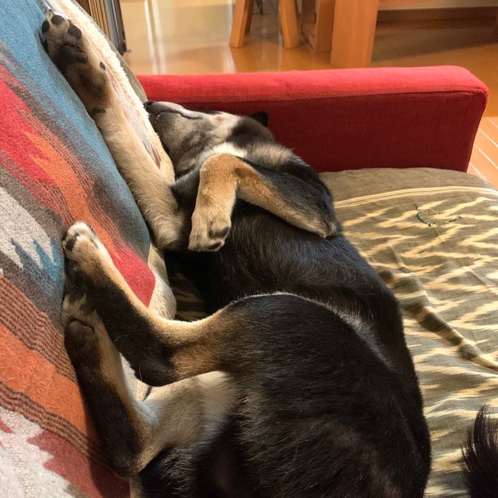 614f9d75 6923 41c4 ba59 24c9605a170d 1579189188361