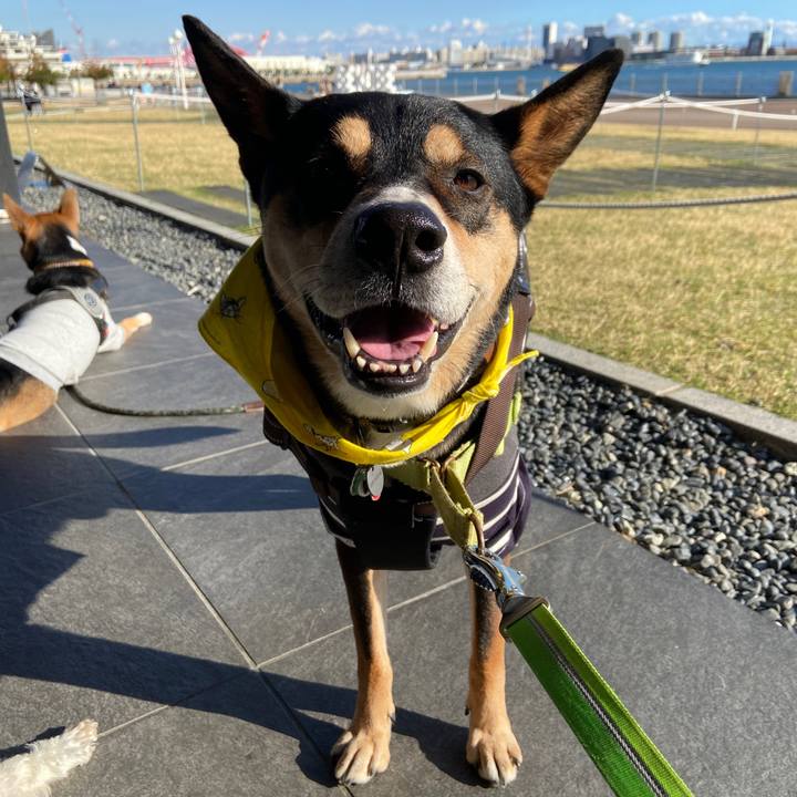 614fb87e f8ce 4adc a535 e03ac1ebeeb5 1700021923910