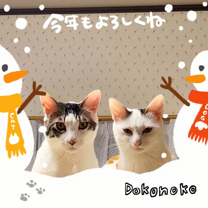 614fc67a a996 4a18 b421 4be9673697e6 1704527754053