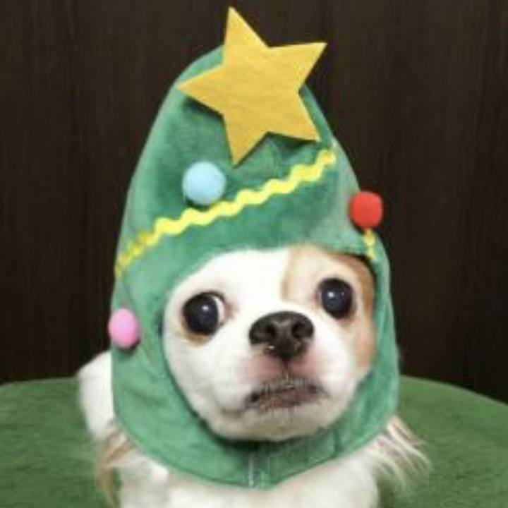 614ff47b 7cac 4a58 bd64 5cc8e4600324 1703304505717