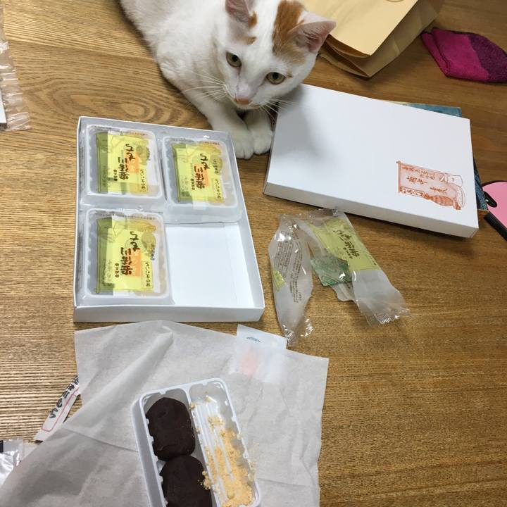 614ff5fc 0961 404a a504 c024cb5af3f1 1540461651673