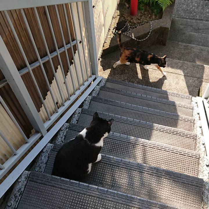 614ffaab 2542 426a 9f04 626b91055e30 1528077942496