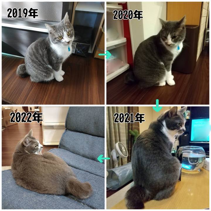 61500291 74d9 4e09 a29d 994f72b0f212 1669764132270