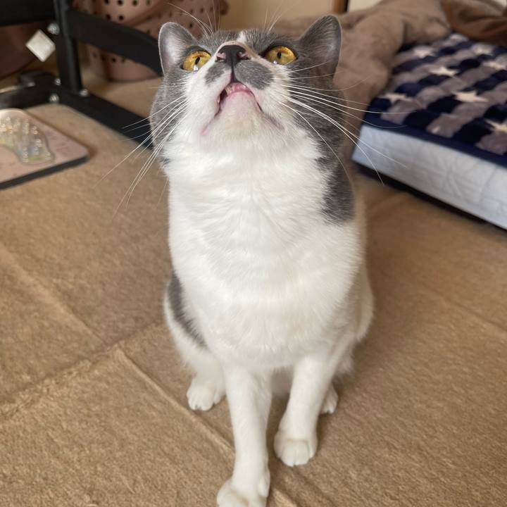 61503163 82b2 469a bffa c5bd906fc96c 1666517054596