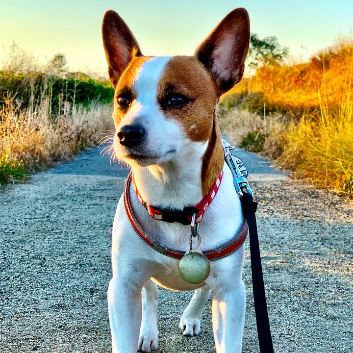 61505783 c1bc 43b2 aaaf 5bec8749e7d1 1543049796540