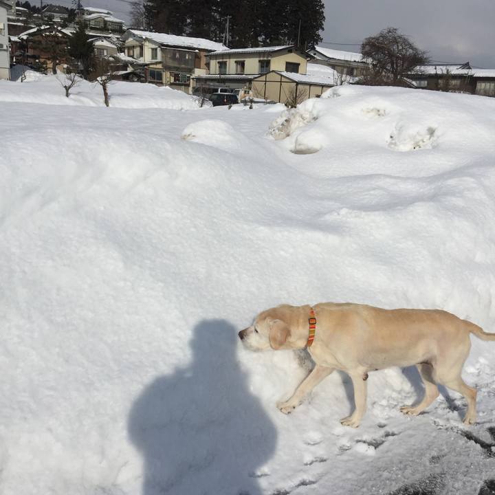 61505d87 5014 4bc6 bdd9 7db385dd2f19 1614166204486