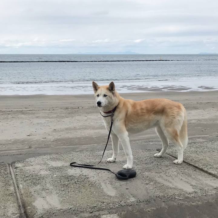 6150624d e50d 4b72 9ed7 216ca53bd32e 1740880026178